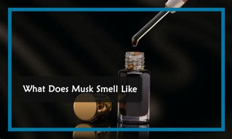 musky smell in tagalog meaning|Translate musky scent in Tagalog with contextual examples.